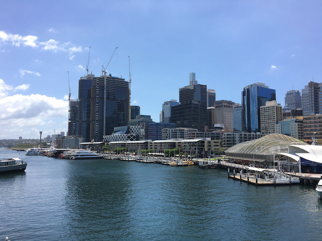 Barangaroo Pest and Termite Inspections